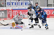 Eishockey, Herren, DEL, Saison 2024-2025, Spieltag 36, ERC Ingolstadt - Kölner Haie, 12.01.2025