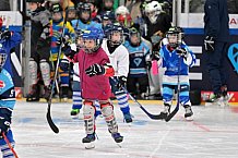 Eishockey, Herren, DEL, Saison 2023-2024, ERC Ingolstadt - Kids on Ice Day, 18.11.2023