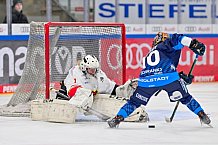 Eishockey, Frauen, DFEL, Saison 2024-2025, ERC Ingolstadt - EC Bergkamener Bären, 05.01.2025