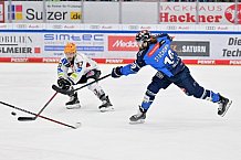 Eishockey, Herren, DEL, Saison 2023-2024, Playoffs Viertelfinale - Spiel 4, ERC Ingolstadt - Fischtown Pinguins , 24.03.2024