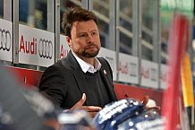 ERC Ingolstadt vs Duesseldorfer EG, Eishockey, DEL, Deutsche Eishockey Liga, Spieltag 19, 18.11.2016