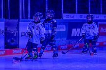 Eishockey, Herren, DEL, Saison 2024-2025, Spieltag 14, ERC Ingolstadt - Löwen Frankfurt, 31.10.2024