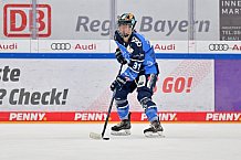 Eishockey, Frauen, DFEL, Saison 2023-2024, ERC Ingolstadt - Amsterdam Tigers, 06.01.2024