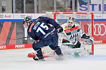 Eishockey, Herren, DEL, Saison 2024-2025, Spieltag 15, ERC Ingolstadt - Augsburger Panther, 03.11.2024