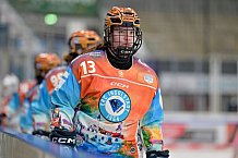 Eishockey, Frauen, DFEL, Saison 2024-2025, ERC Ingolstadt - Mad Dogs Mannheim, 23.11.2024