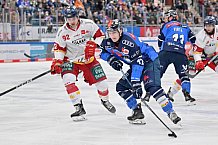 Eishockey, Herren, DEL, Saison 2023-2024, Spieltag 46, ERC Ingolstadt - Düsseldorfer EG, 15.02.2024