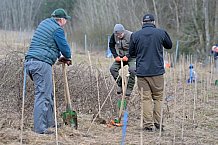Eishockey, Herren, DEL, Saison 2023-2024, ERC Ingolstadt - Baumpflanzaktion, 02.03.2024