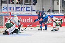 Eishockey, Herren, DEL, Saison 2024-2025, Spieltag 35, ERC Ingolstadt - Augsburger Panther, 10.01.2025