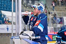 Hockey, Mens, CHL, Season 2025-2026, Regular Season, Round of 16, ERC Ingolstadt - EC Red Bull Salzburg, 12.11.2025