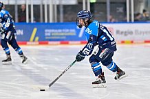 Eishockey, Frauen, DFEL, Saison 2025-2026, Testspiel, ERC Ingolstadt - HC Davos, 14.02.2026