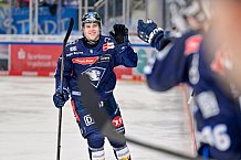 Eishockey, Herren, DEL, Saison 2024-2025, Spieltag 19, ERC Ingolstadt - Grizzlys Wolfsburg, 24.11.2024