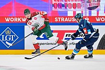 Hockey, Mens, CHL, Season 2025-2026, Quarter-Finals, ERC Ingolstadt - Frölunda Gothenburg, 02.12.2025