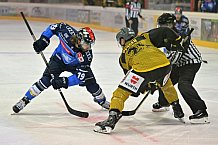 Eishockey, Herren, DEL, Saison 2023-2024, Vinschgau Cup, ERC Ingolstadt - HC Pustertal, 25.08.2023