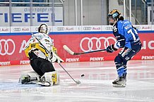 Eishockey, Frauen, DFEL, Saison 2023-2024, ERC Ingolstadt - Mad Dogs Mannheim, 18.02.2024