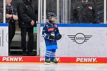 Eishockey, Herren, DEL, Saison 2024-2025, Spieltag 11, ERC Ingolstadt - Pinguins Bremerhaven, 20.10.2024