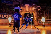 Eishockey, Herren, DEL, Saison 2026-2027, Spieltag 8, ERC Ingolstadt - Löwen Frankfurt, 11.10.2026