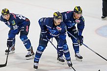 ERC Ingolstadt  - Grizzlys Wolfsburg, Eishockey, DEL, Deutsche Eishockey Liga, Spieltag 42, 31.01.2016