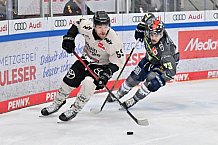Eishockey, Herren, DEL, Saison 2023-2024, Spieltag 51, ERC Ingolstadt - Kölner Haie, 03.03.2024