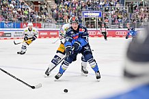 Eishockey, Herren, DEL, Saison 2023-2024, Spieltag 18, ERC Ingolstadt - Eisbären Berlin, 05.11.2023