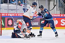 Eishockey, Mens, CHL, Season 2023-2024, ERC Ingolstadt - Växjö Lakers, 14.11.2023