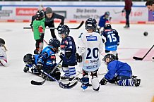 Eishockey, Saison 2025-2026, ERC Ingolstadt - Kids On Ice Day, 29.11.2025