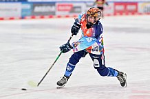 Eishockey, Frauen, DFEL, Saison 2024-2025, ERC Ingolstadt - EC Bergkamener Bären, 05.01.2025