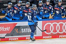 Eishockey, Herren, DEL, Saison 2024-2025, Spieltag 36, ERC Ingolstadt - Kölner Haie, 12.01.2025