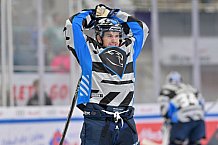 Eishockey, Herren, DEL, Saison 2024-2025, Vorbereitung, ERC Ingolstadt - Dresdner Eislöwen, 18.08.2024