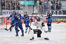 Eishockey, Herren, DEL, Saison 2024-2025, Spieltag 42, ERC Ingolstadt - Kölner Haie, 31.01.2025