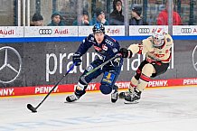 Eishockey, Herren, DEL, Saison 2024-2025, Playoffs Viertelfinale, Spiel 5, ERC Ingolstadt - Nürnberg Ice Tigers, 26.03.2025