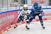 Eishockey, Frauen, DFEL, Saison 2025-2026, ERC Ingolstadt - Eisbären Berlin, 18.01.2026