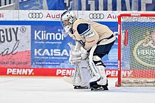 Eishockey, Herren, DEL, Saison 2024-2025, Spieltag 28, ERC Ingolstadt - Schwenninger Wild Wings, 20.12.2024