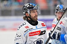 Eishockey, Herren, DEL, Saison 2024-2025, Vorbereitung, ERC Ingolstadt - Dresdner Eislöwen, 18.08.2024