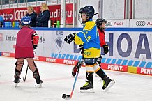 Eishockey, Herren, DEL, Saison 2023-2024, ERC Ingolstadt - Kids on Ice Day, 18.11.2023