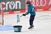 Eishockey, Herren, DEL, Saison 2024-2025, Spieltag 30, ERC Ingolstadt - EHC Red Bull München, 26.12.2024