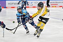 Eishockey, Frauen, DFEL, Halbfinale, Saison 2022-2023, ERC Ingolstadt - Mad Dogs Mannheim, 25.02.2023