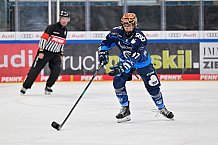 Eishockey, Frauen, DFEL, Saison 2024-2025, ERC Ingolstadt - EC Bergkamener Bären, 12.10.2024