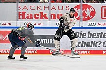 Eishockey, Herren, DEL, Saison 2023-2024, Spieltag 36, ERC Ingolstadt - Kölner Haie, 07.01.2024