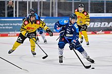 Eishockey, Herren, U20 DNL, Saison 2025-2026, ERC Ingolstadt - Krefeld Pinguine, 10.01.2026