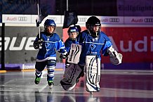 ERC Ingolstadt vs Augsburger Panther, Eishockey, DEL, Deutsche Eishockey Liga, Spieltag 37, 30.12.2017