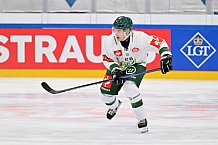 Eishockey, Mens, CHL, Season 2023-2024, ERC Ingolstadt - Färjestad Karlstad, 02.09.2023
