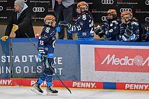 Eishockey, Frauen, DFEL, Saison 2024-2025, ERC Ingolstadt - Eisbären Berlin, 15.02.2025