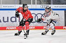 Eishockey, Frauen, EWHL Euro Cup, Saison 2025-2026, Finale, HK Budapest - ECDC Memmingen Indians, 19.10.2025