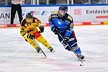Eishockey, U20, DNL, Saison 2024-2025, ERC Ingolstadt - Krefelder EV 81, 01.03.2025