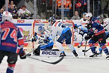 Eishockey, Herren, DEL, Saison 2024-2025, Spieltag 16, Nürnberg Ice Tigers - ERC Ingolstadt, 15.11.2024