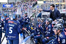 Eishockey, Herren, DEL, Saison 2024-2025, Spieltag 19, ERC Ingolstadt - Grizzlys Wolfsburg, 24.11.2024