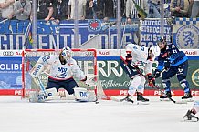 Eishockey, Herren, DEL, Saison 2024-2025, Spieltag 32, ERC Ingolstadt - Adler Mannheim, 30.12.2024