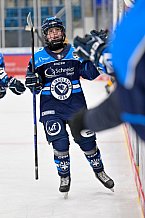 Eishockey, Frauen, DFEL, Saison 2025-2026, Testspiel, ERC Ingolstadt - HC Davos, 14.02.2026