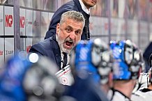 Eishockey, Herren, DEL, Saison 2024-2025, Playoffs Viertelfinale, Spiel 1, Nürnberg Ice Tigers - ERC Ingolstadt, 18.03.2025
