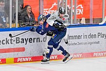 Eishockey, Herren, DEL, Saison 2024-2025, Playoffs Halbfinale, Spiel 3, ERC Ingolstadt - Kölner Haie, 06.04.2025